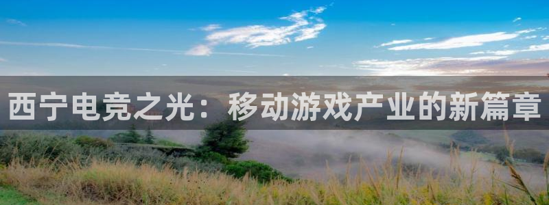 摩根娱乐官网入口在线观看：西宁电竞之光：移动游戏产业的新篇章