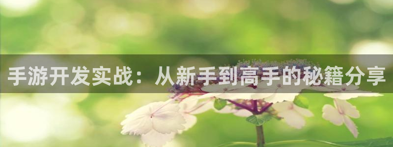 摩根娱乐官网入口网站：手游开发实战：从新手到高手的秘籍分享