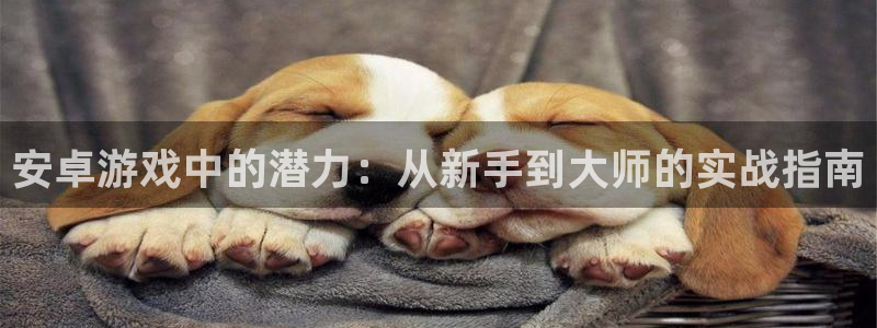 摩根娱乐