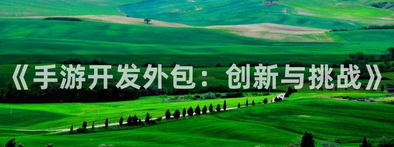 摩根娱乐下载：《手游开发外包：创新与挑战》