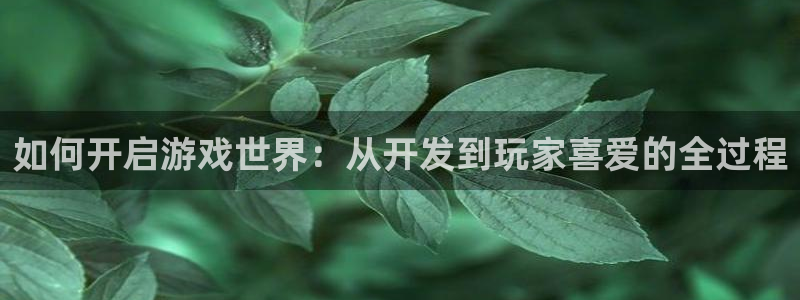 摩根娱乐是正规公司吗知乎：如何开启游戏世界：从开发到玩家喜爱