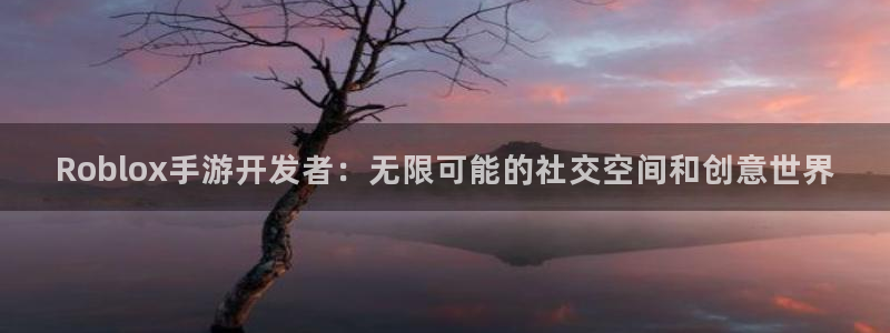 摩根娱乐是正规合法的吗：Roblox手游开发者：无限可能的社