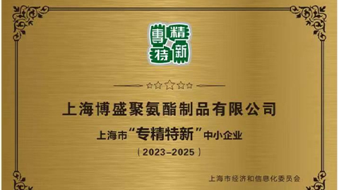 公司营收突破8000万，被上海市经济和信息化委员会评定为&ldquo;专精特新&rdquo;中幼企业，公司造订和执行&ldquo;两化一增长&rdquo;的第一个五年打算。