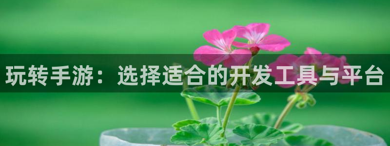 摩根娱乐会所：玩转手游：选择适合的开发工具与平台