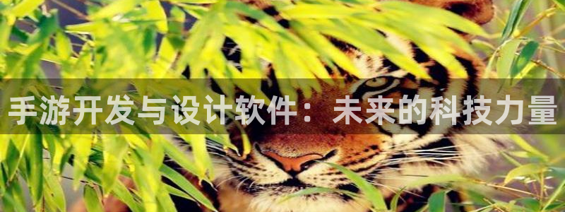 摩根娱乐是正规公司吗还是私企：手游开发与设计软件：未来的科技