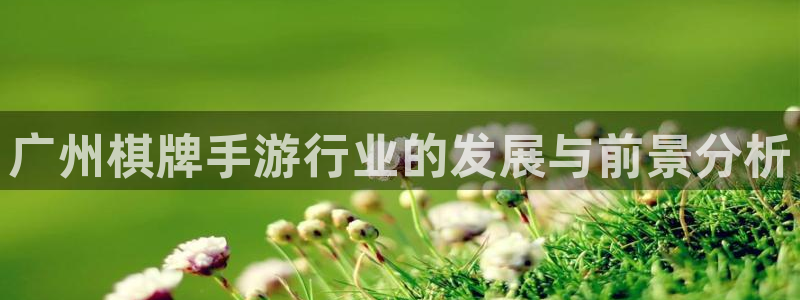 摩根娱乐下载：广州棋牌手游行业的发展与前景分析